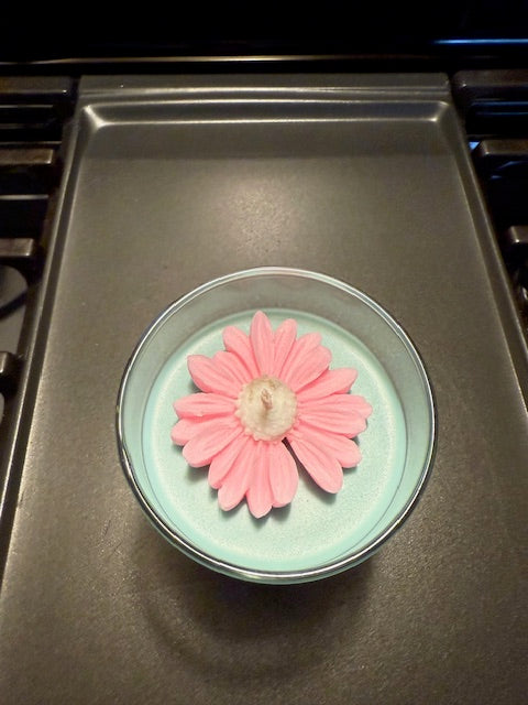 Cactus Flower